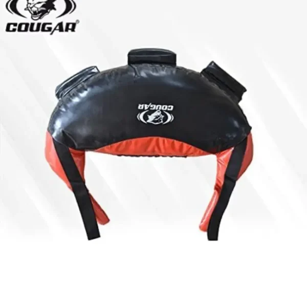 Bulgarian Bag – Functional Strength Training Power Bag | Multi-Grip Weighted Bag for Dynamic Movements - Image 2