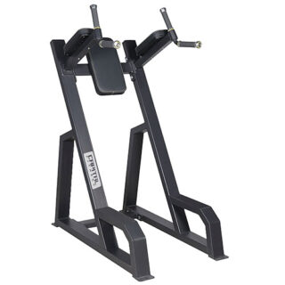 VERTICAL KNEE RAISE ICONIC | Compact Core Strength Equipment
