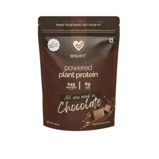 WishFit – All You Need is Chocolate | Plant-Based Protein (36g x 1)